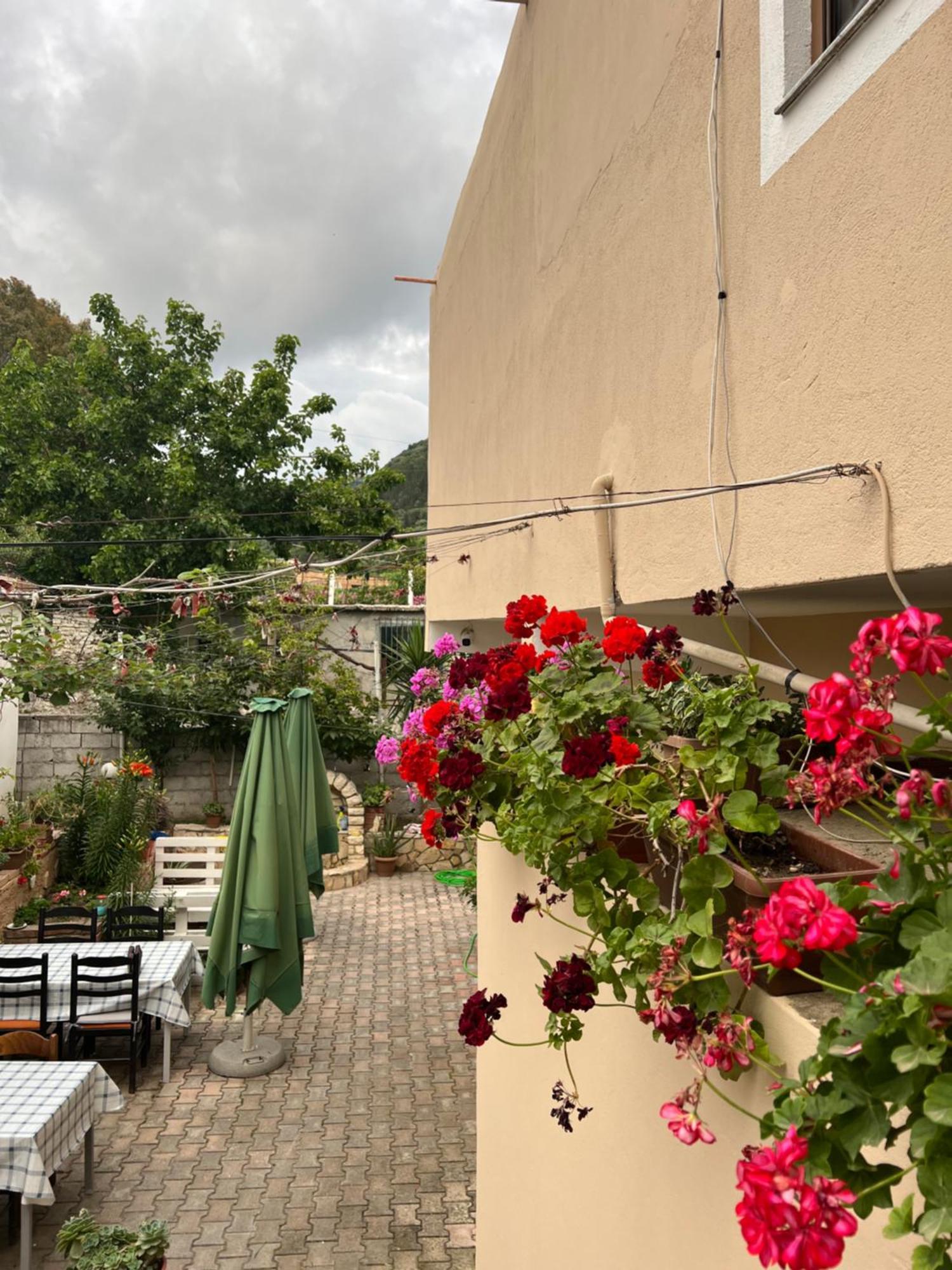 Villa Green Vlorë Buitenkant foto
